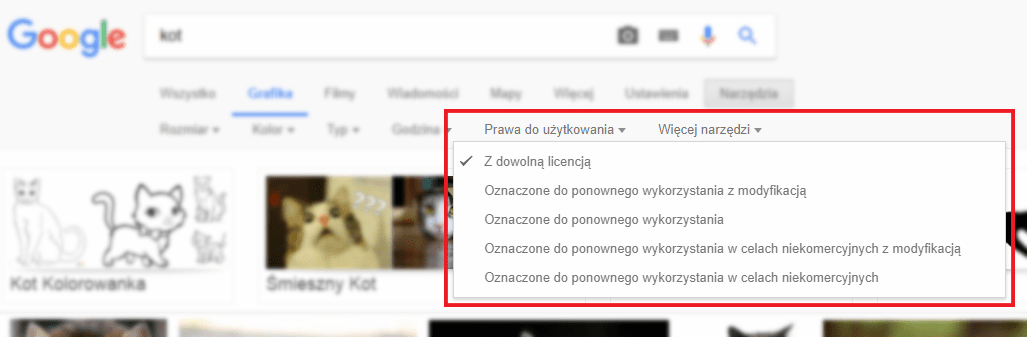 wyszukiwarka-google-grafika