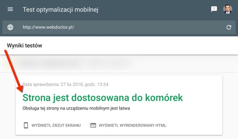 test_mobilnosci_google