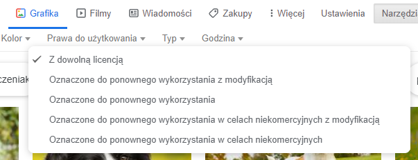 google-grafika-wyszukiwanie-licencja